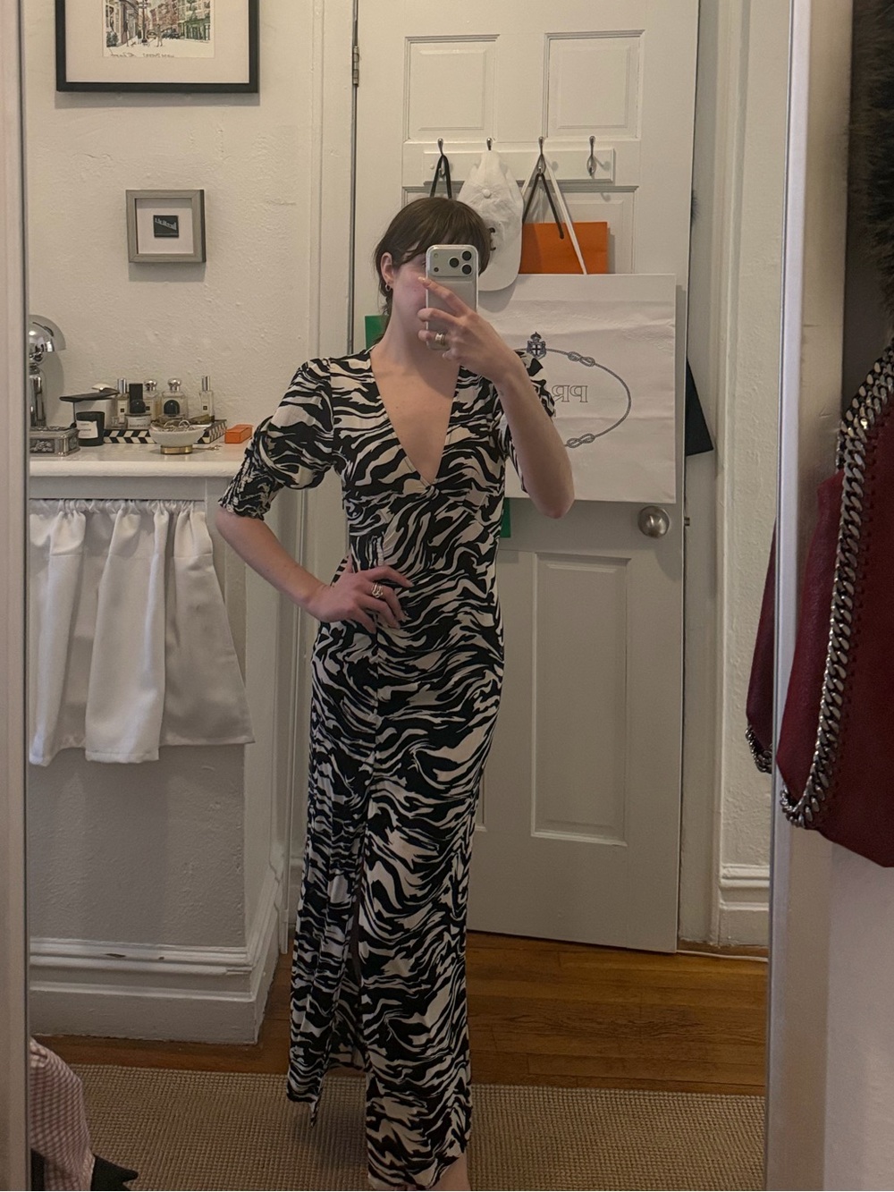 Black & White Zebra Print Dress